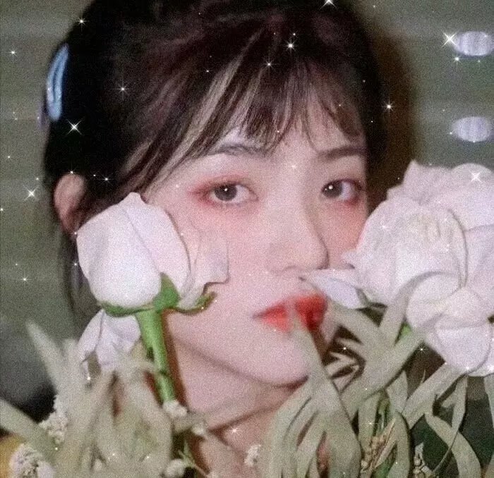 我的朋友叫哈维