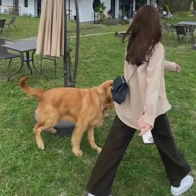 罪恶之家